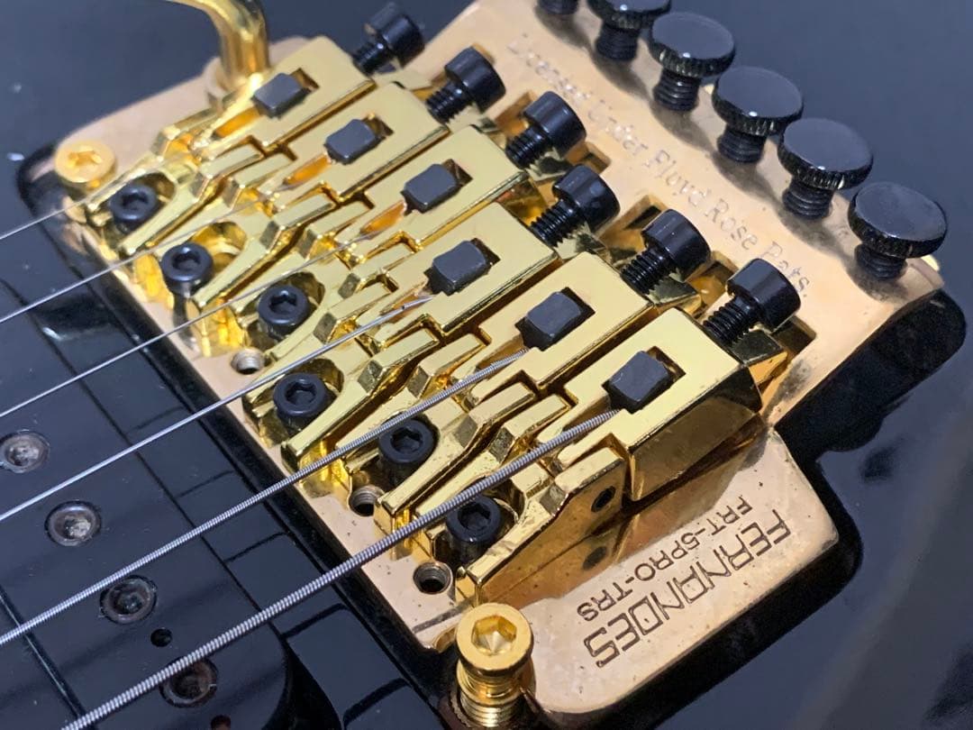 FERNANDES フェルナンデス APG-85S サスティナー ジャンク 希少