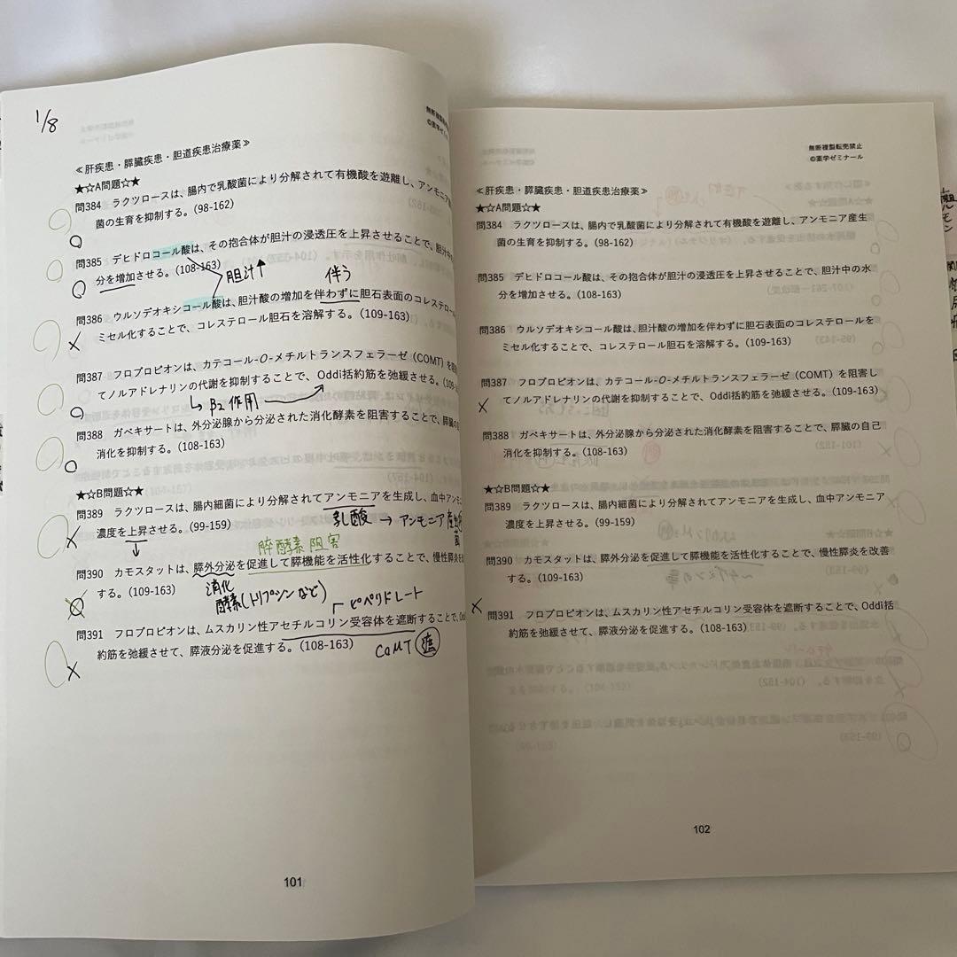 薬ゼミ 白問 半年コース 110回薬剤師国家試験