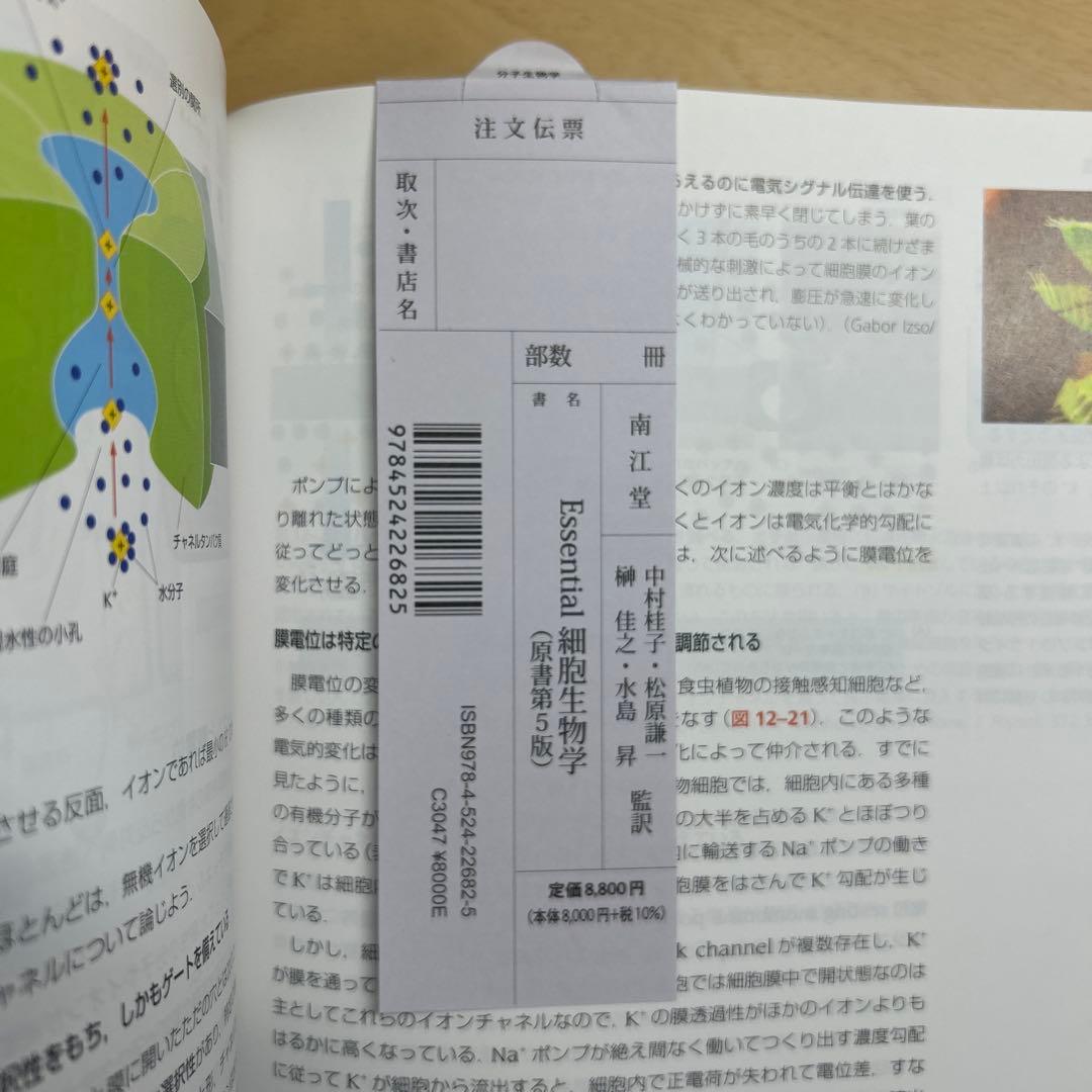 Essential細胞生物学　第5版　新品未使用