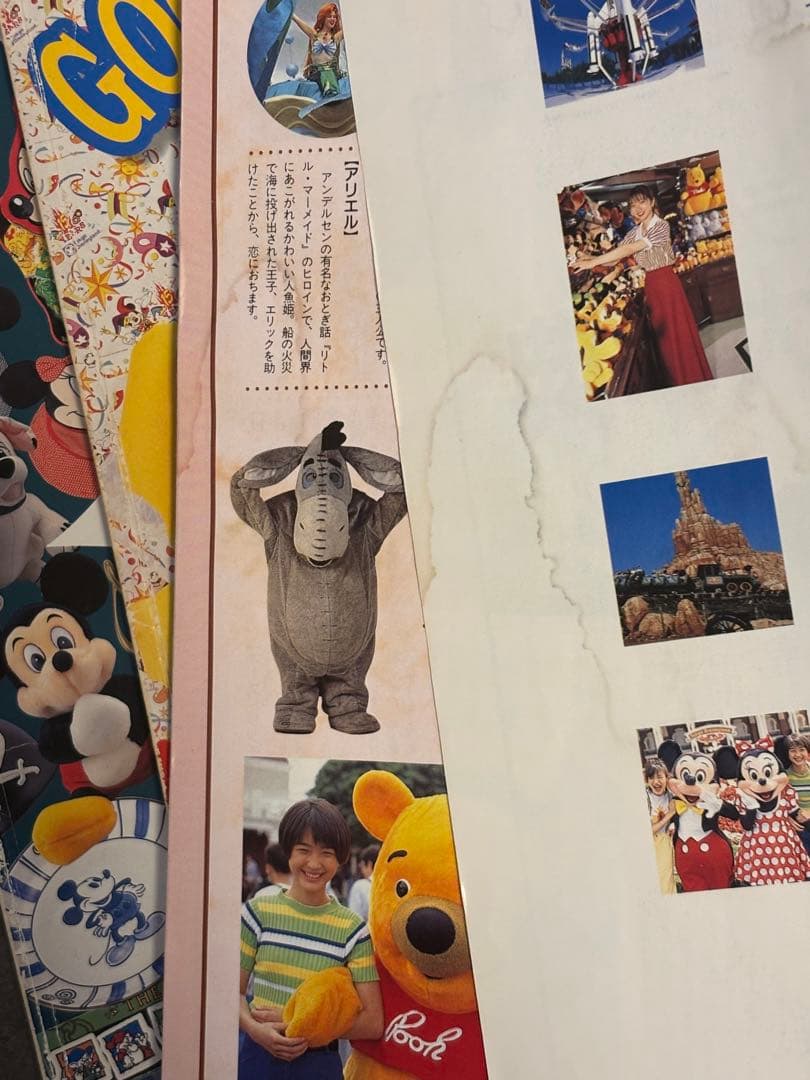 東京ディズニーランド ガイドブックセット