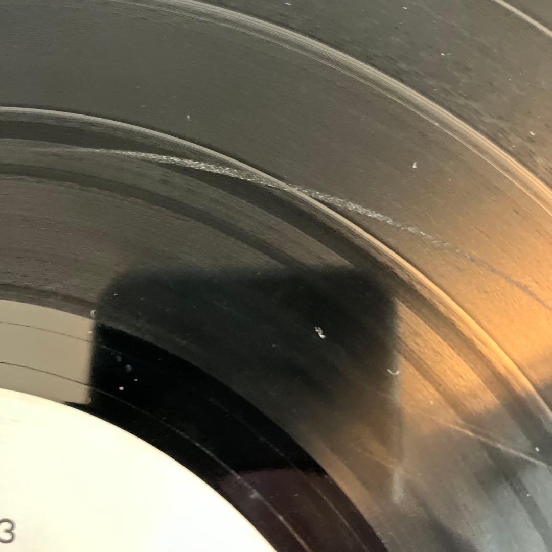 見本　ドリームズ・カム・トゥルー　レコード ＬＰ　LOVE GOES ON