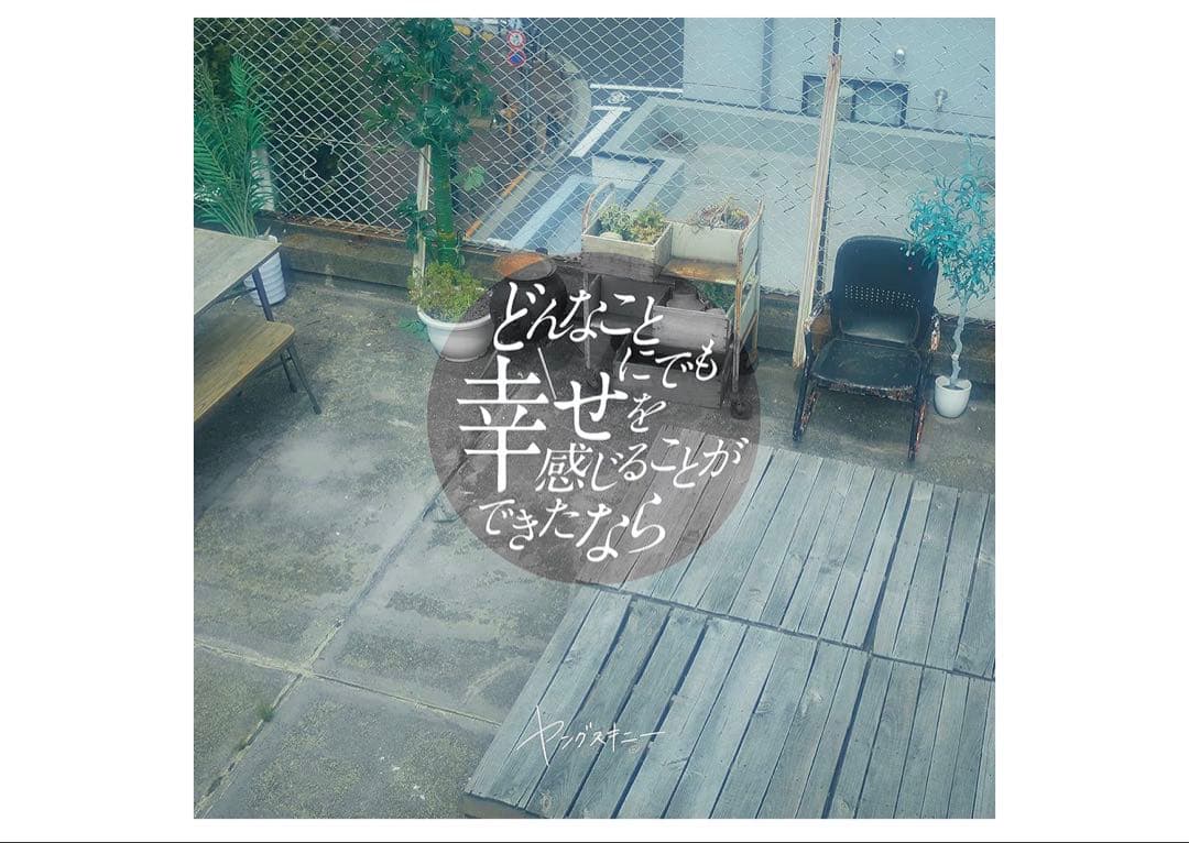 ヤングスキニー 初回限定盤2枚セット チェキ付き