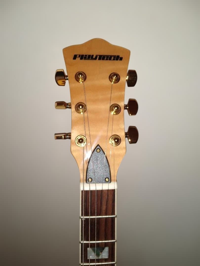 PLAYTECH SA500 Natural (美品)セミアコタイプ