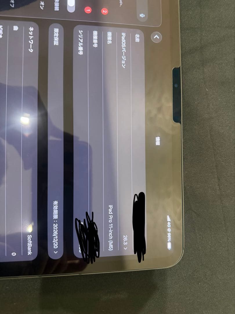 iPad Pro 11インチ M5 Wi-Fi + Cellular 256GB