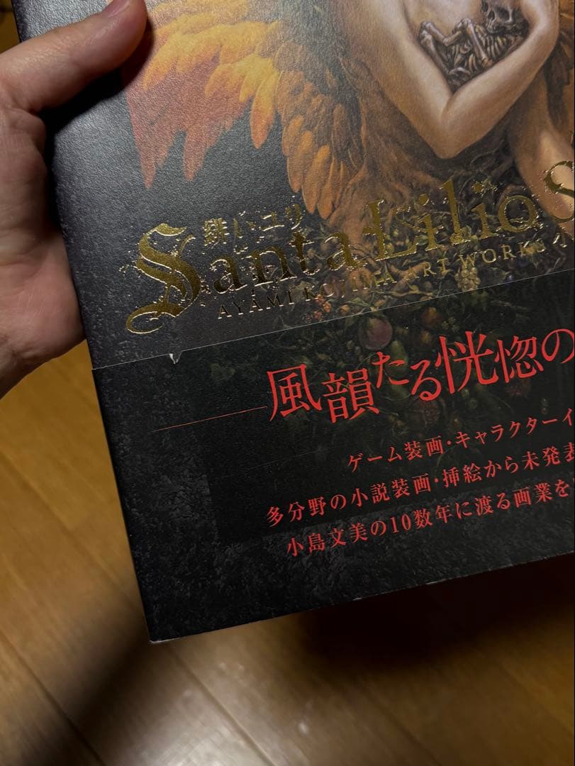 小島文美画集　緋いユリ