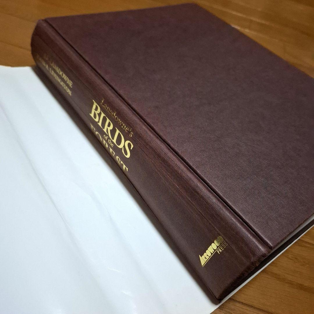 Lansdowne's Birds of the Forest　鳥の図鑑　洋書
