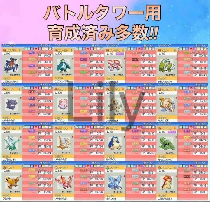 ソウルシルバー　箱　ケース　ポケウォーカー付き