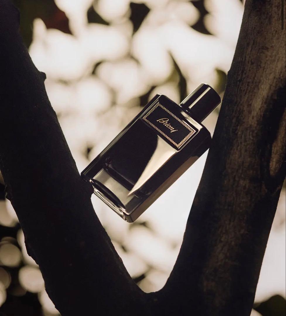Brioni ブリオーニ オードパルファム インテンス 100ml /スアーブ