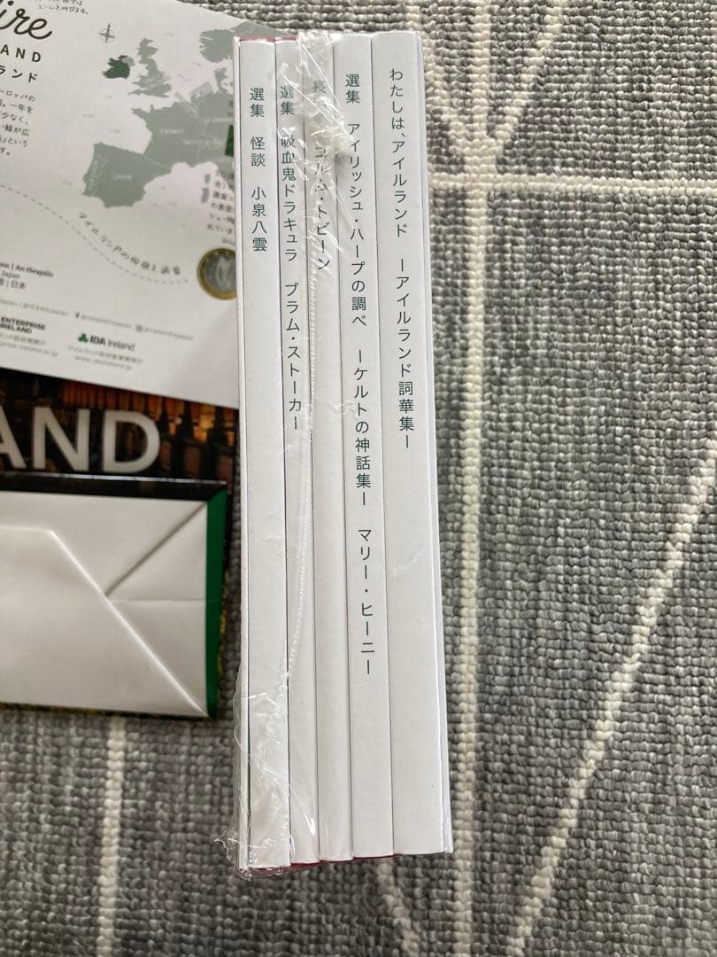 アイルランド日本2025