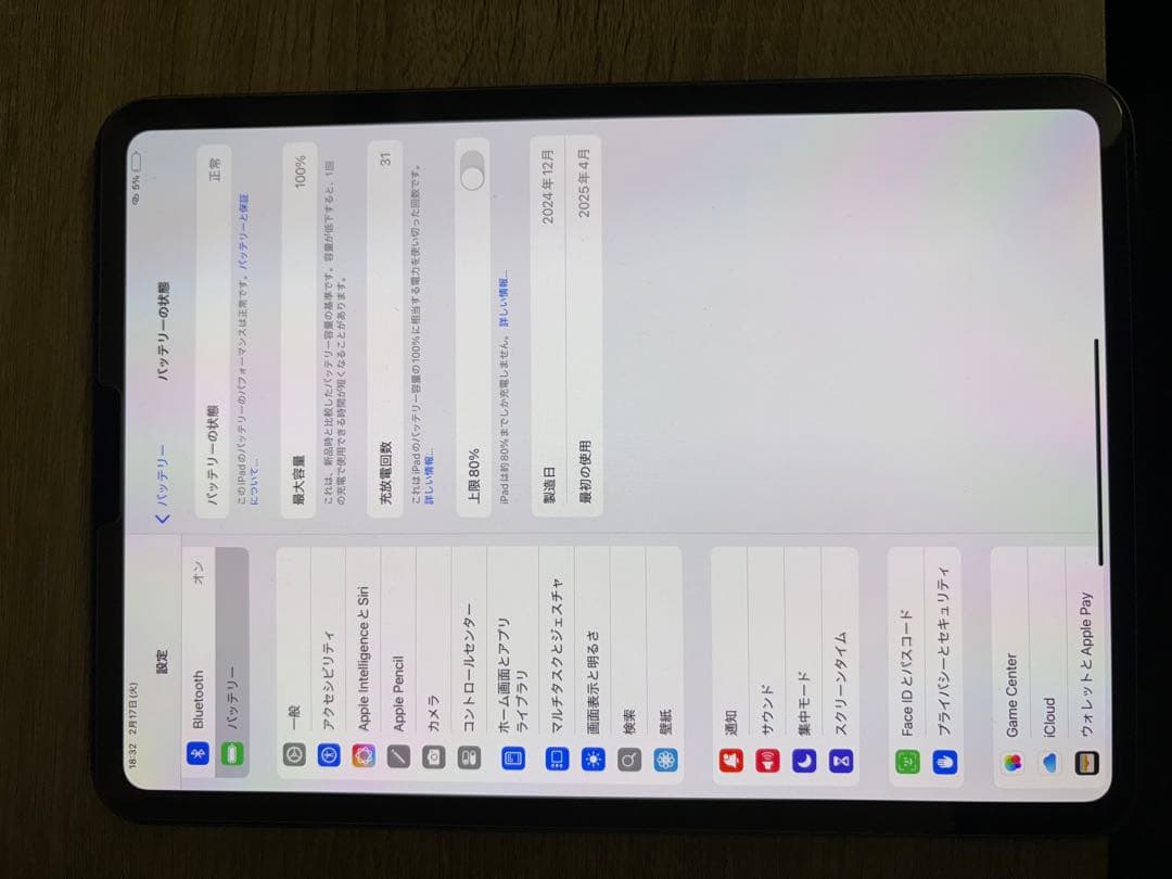 せい iPad Pro M4 11inch