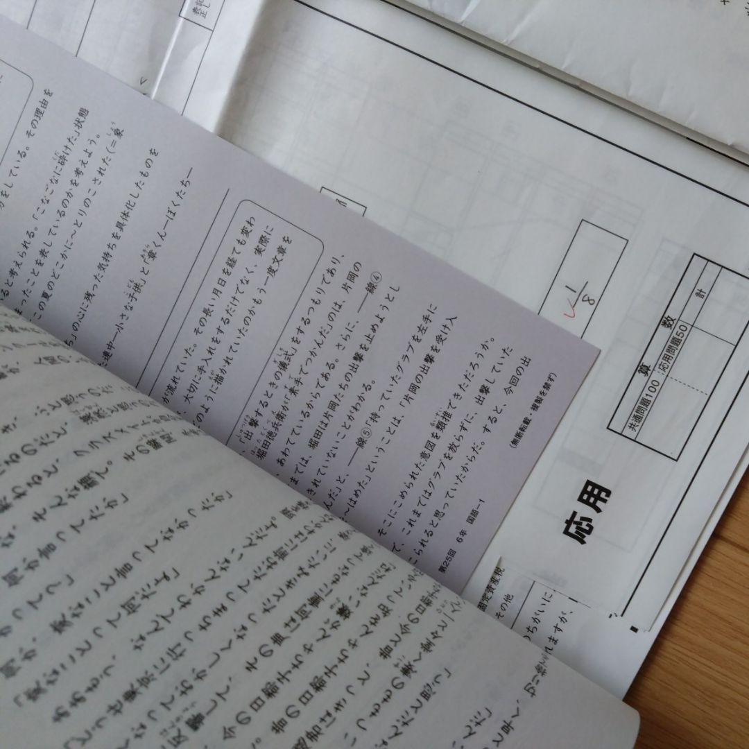 日能研　ステージⅣ　学習力育成テスト　25回分 冬期　春期　夏期講習特別テスト