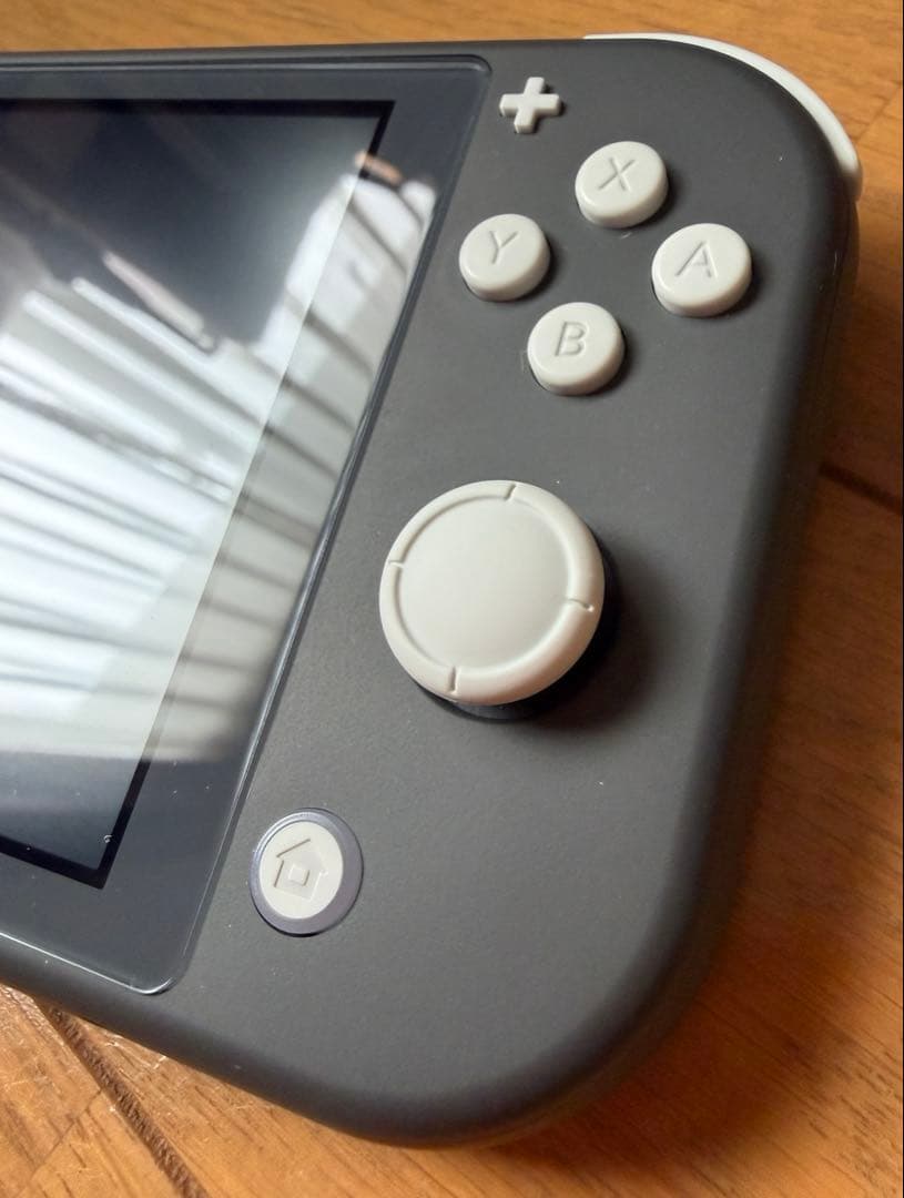 Nintendo Switch Lite グレーmicroSDカード64GBつき