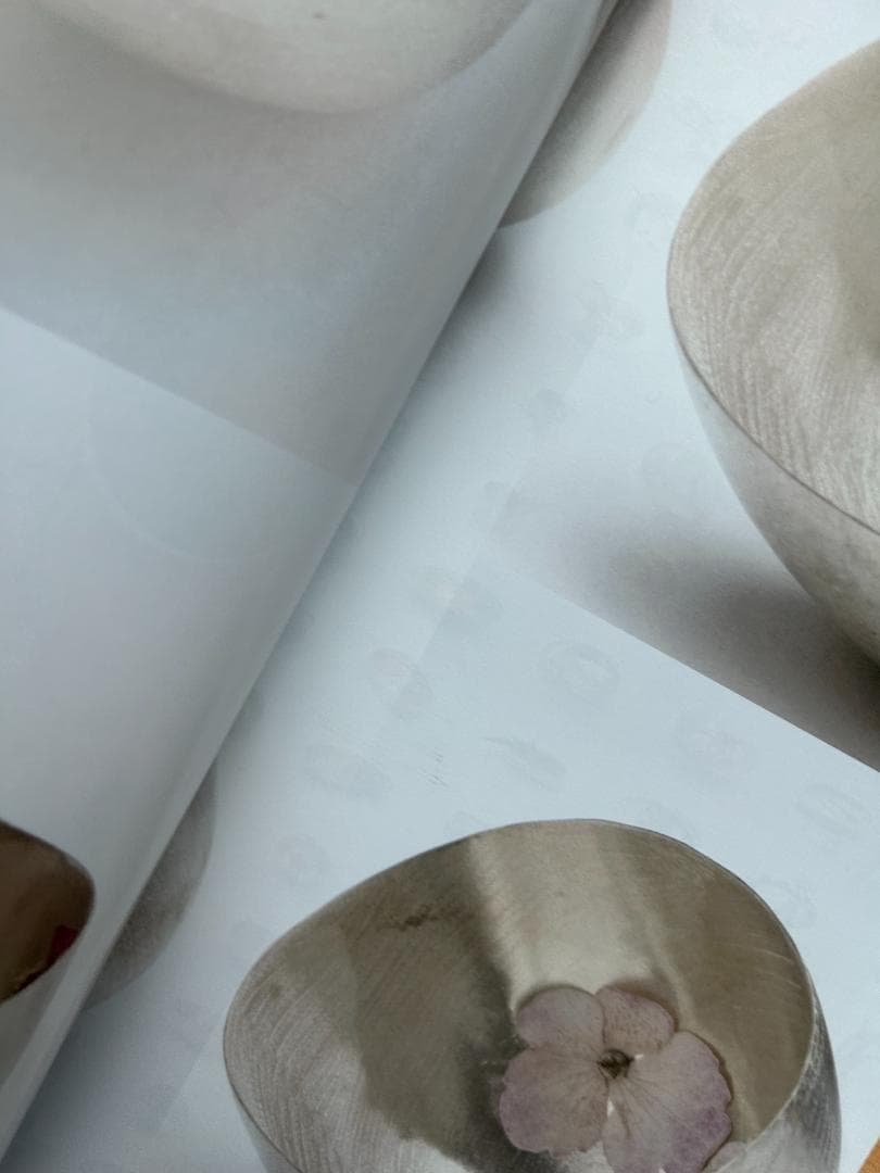 石上純也 作品集 Balloon&gardens Junya Ishigami