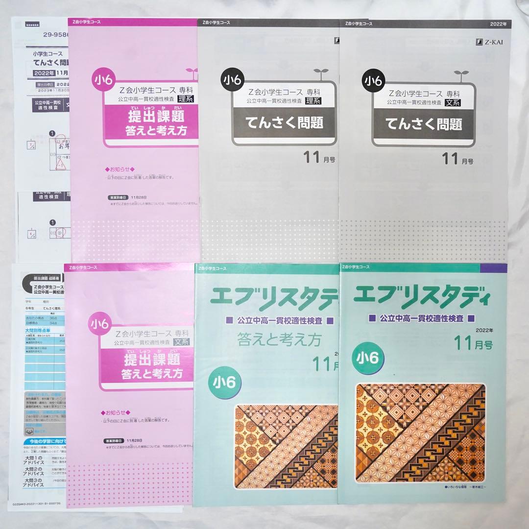 Z会 小6 エブリスタディ 専科　公立中高一貫校 適性検査対策　通年教材セット