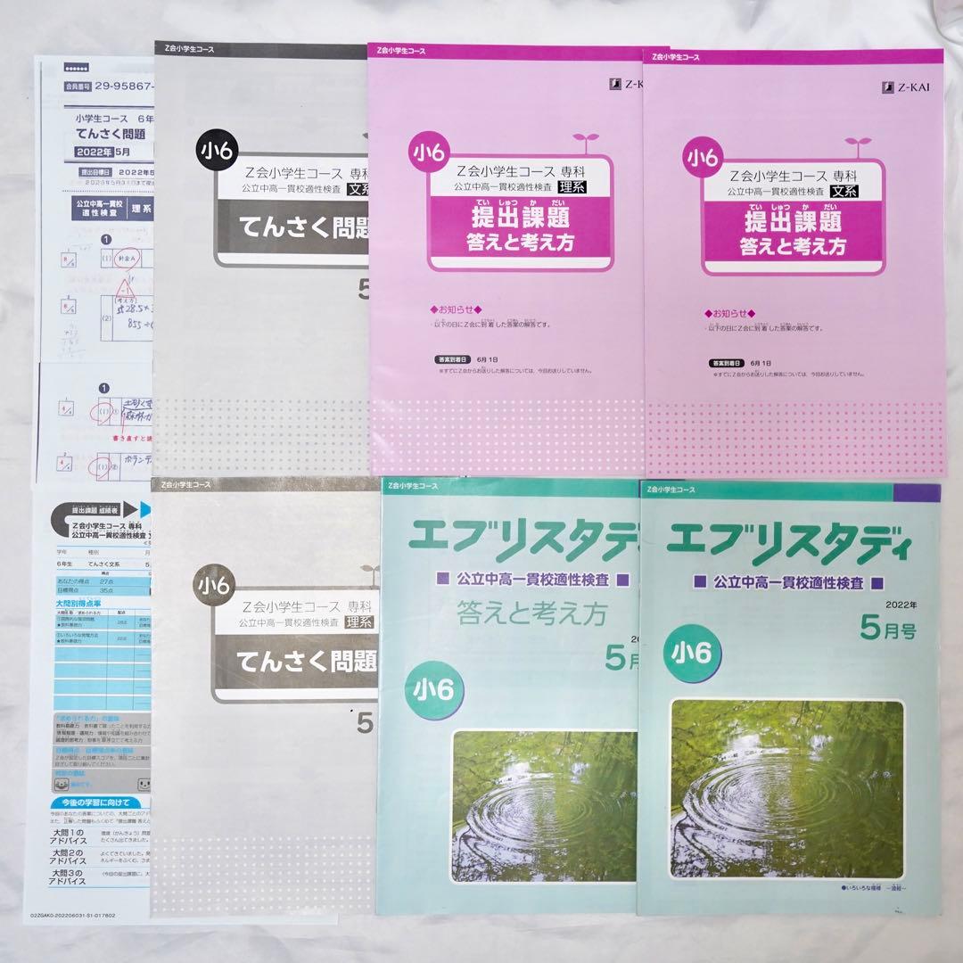 Z会 小6 エブリスタディ 専科　公立中高一貫校 適性検査対策　通年教材セット