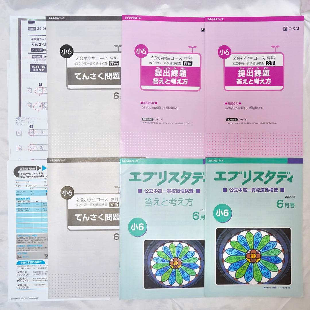 Z会 小6 エブリスタディ 専科　公立中高一貫校 適性検査対策　通年教材セット