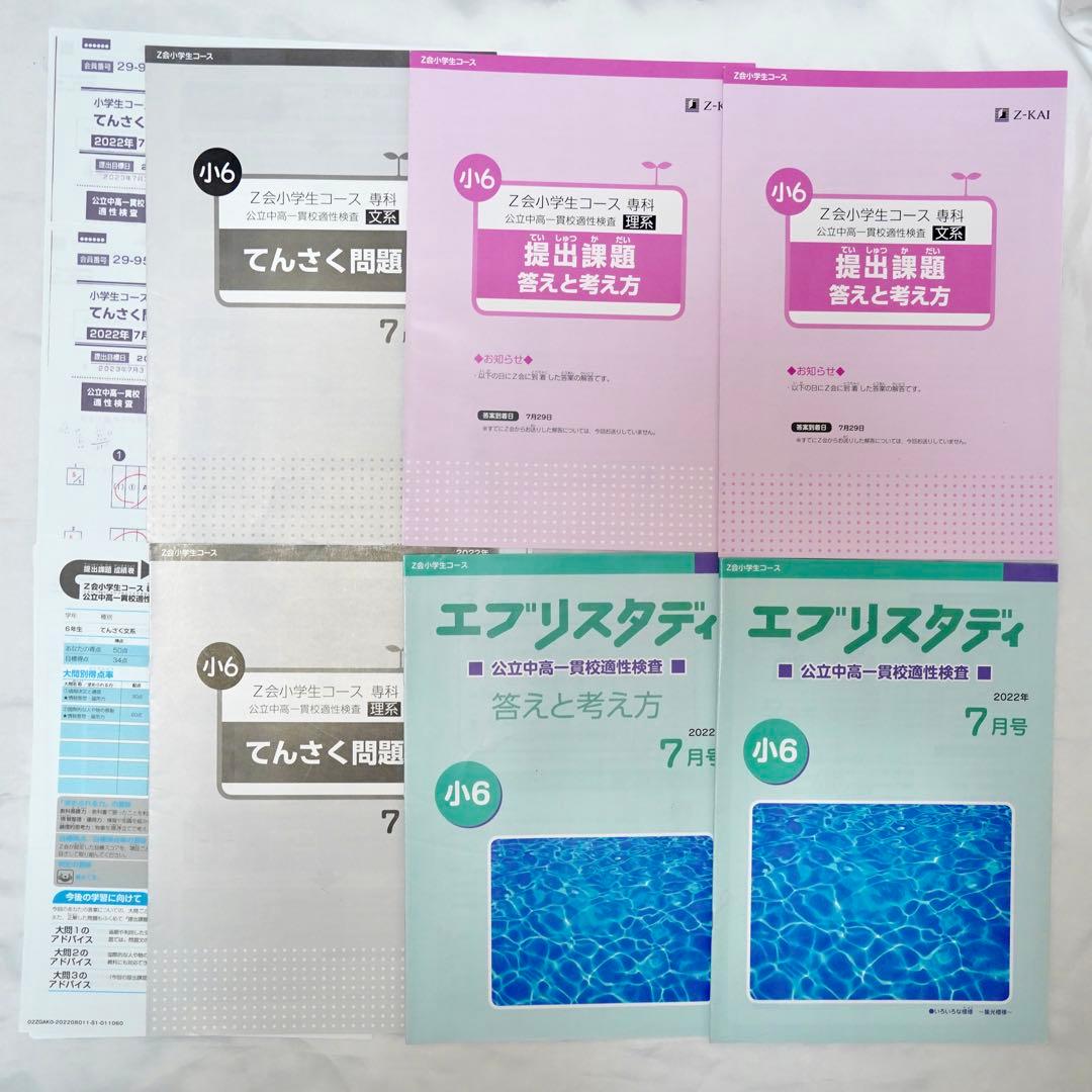 Z会 小6 エブリスタディ 専科　公立中高一貫校 適性検査対策　通年教材セット