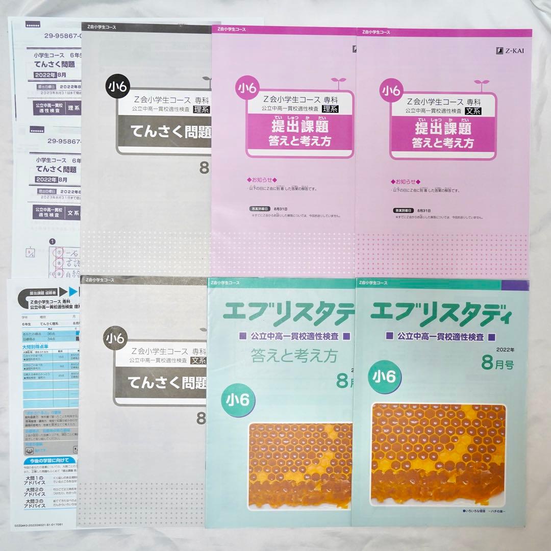 Z会 小6 エブリスタディ 専科　公立中高一貫校 適性検査対策　通年教材セット