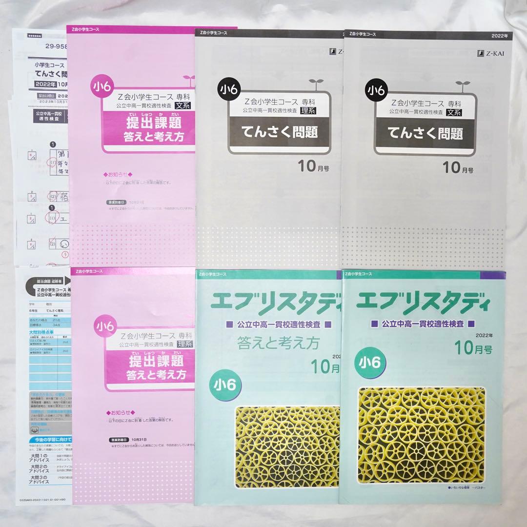 Z会 小6 エブリスタディ 専科　公立中高一貫校 適性検査対策　通年教材セット