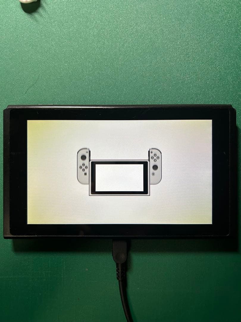 Nintendo Switch 本体のみ 動作確認済み ジャンク扱い