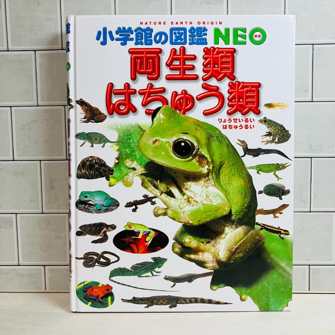 【定番の図鑑】小学館の図鑑NEO10冊セット 星と星座 昆虫 地球 他