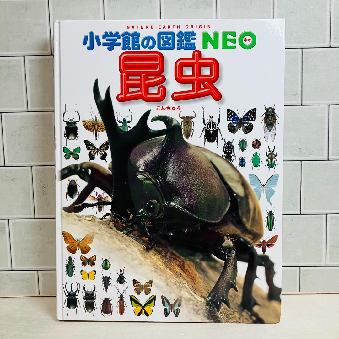 【定番の図鑑】小学館の図鑑NEO10冊セット 星と星座 昆虫 地球 他