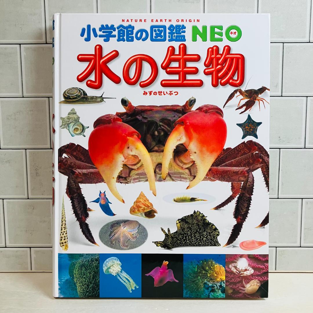 【定番の図鑑】小学館の図鑑NEO10冊セット 星と星座 昆虫 地球 他