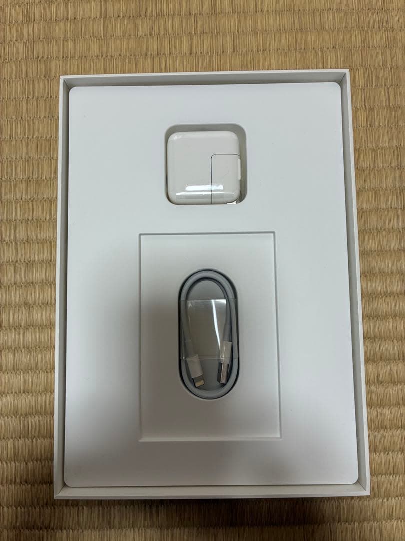 Apple iPad Air2ゴールド Wi-Fiモデル