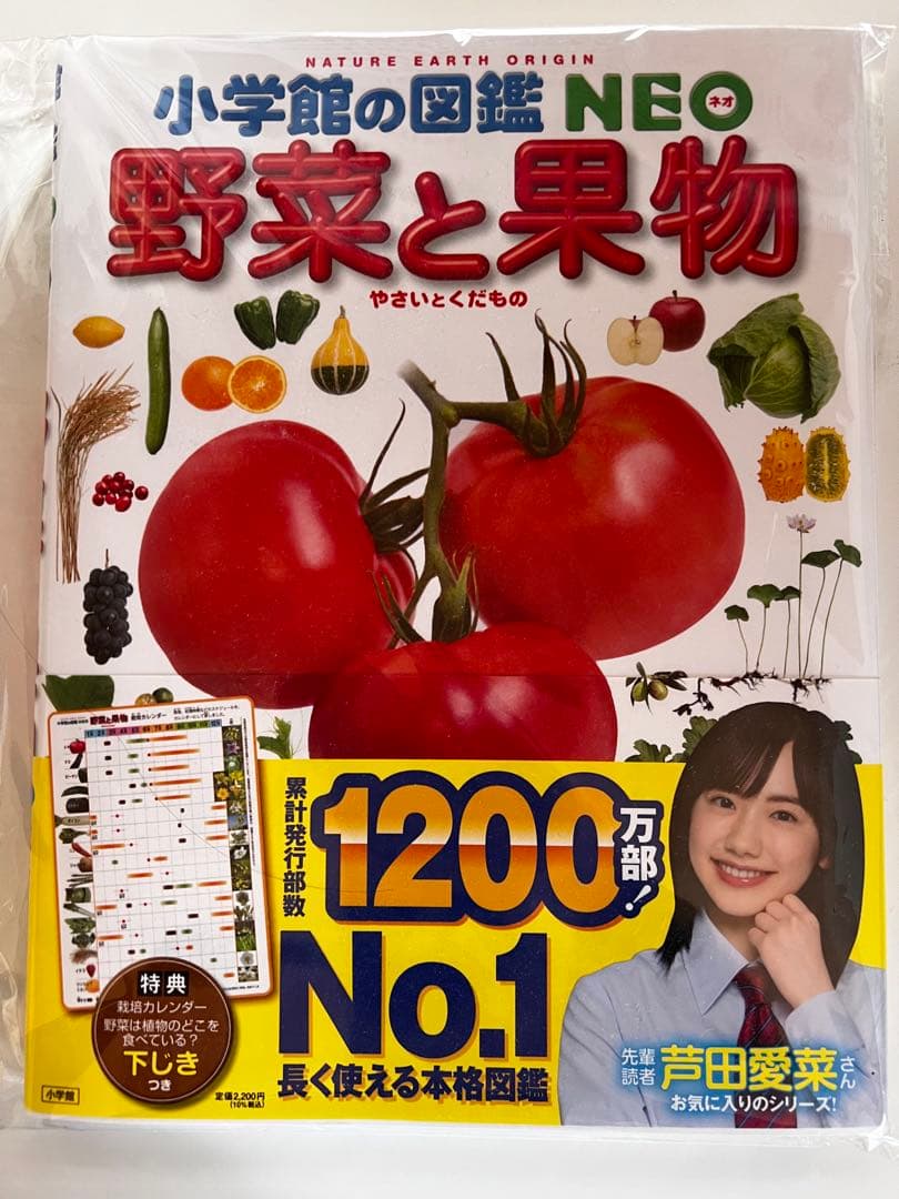 小学館の図鑑 NEO DVD付 全5巻セット