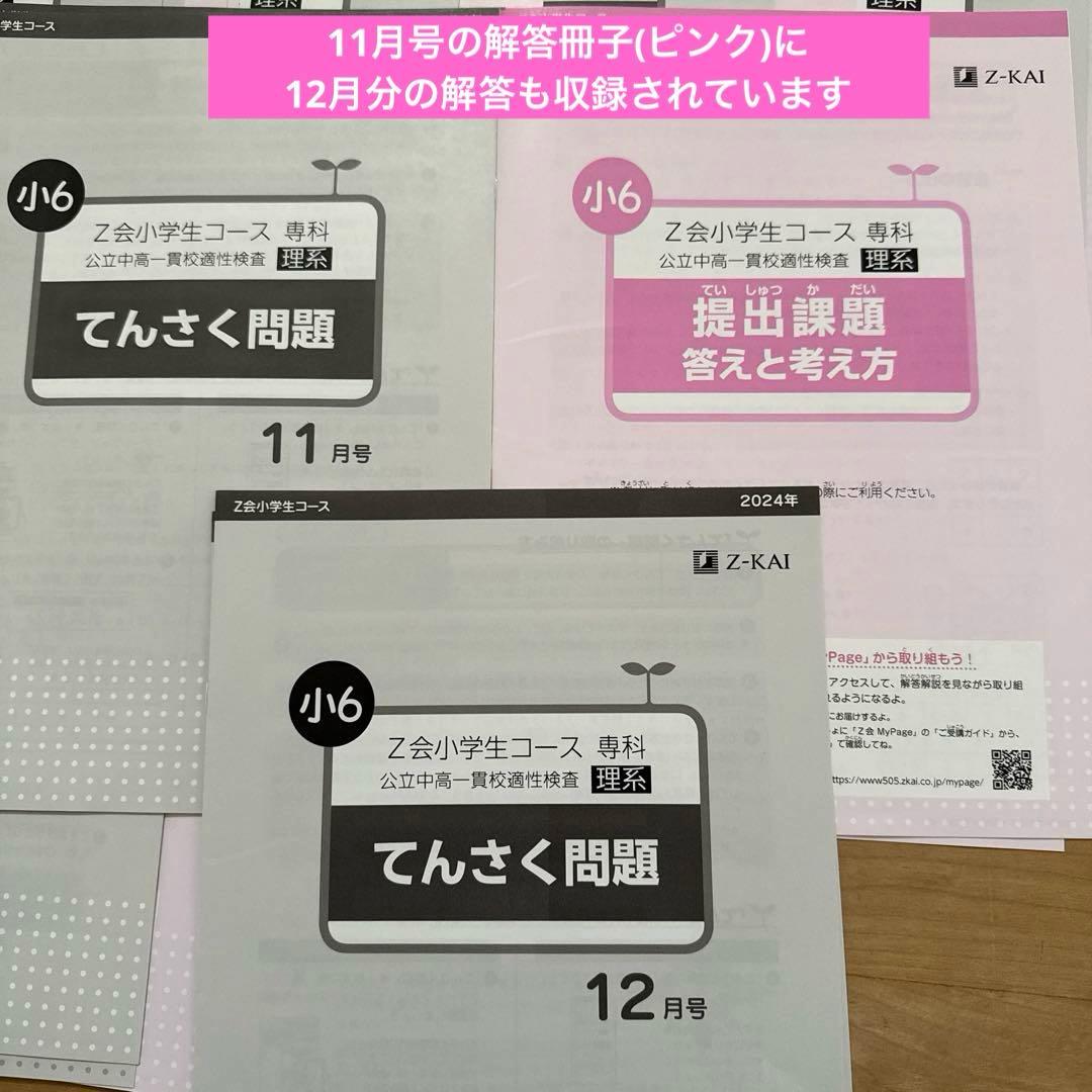 Z会　エブリスタディ　公立中高一貫校適性検査　6年　1年分