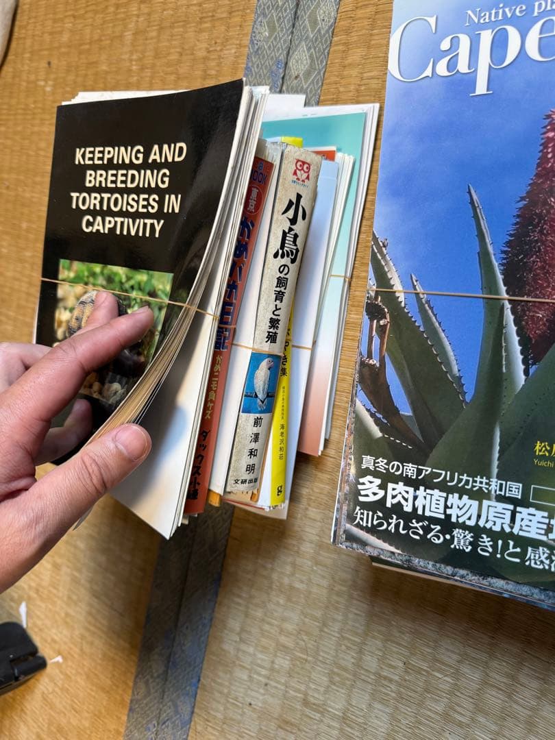 【裁断済】爬虫類・鳥・植物本 36冊セット クリーパー/HerpLife/図鑑等