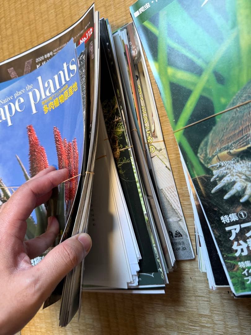 【裁断済】爬虫類・鳥・植物本 36冊セット クリーパー/HerpLife/図鑑等