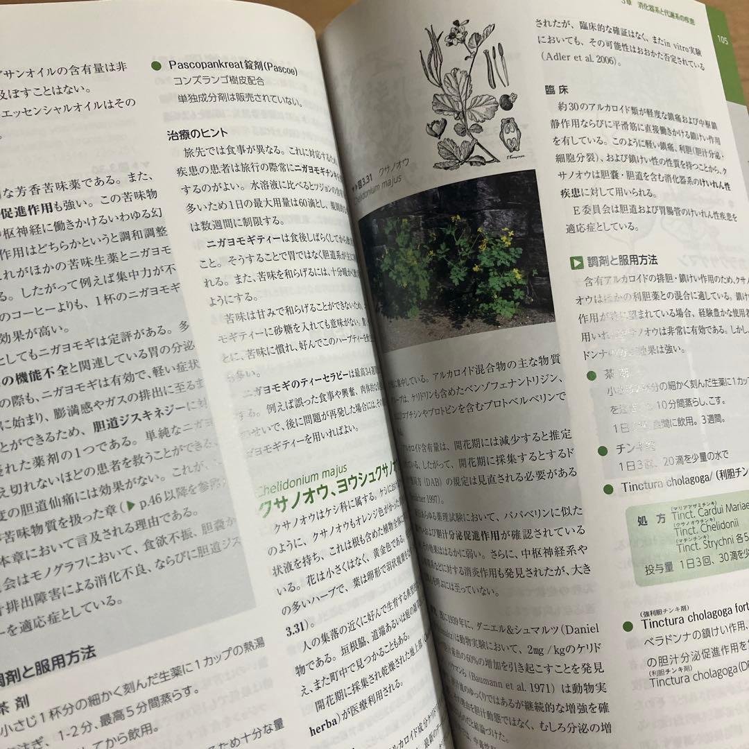 フィトセラピー 植物療法事典【確約済】