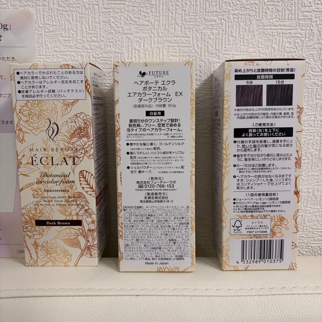 ⭐︎⭐︎限定パッケージ⭐︎⭐︎ ヘアボーテ エクラ　ボタニカル エアカラーフォームEX