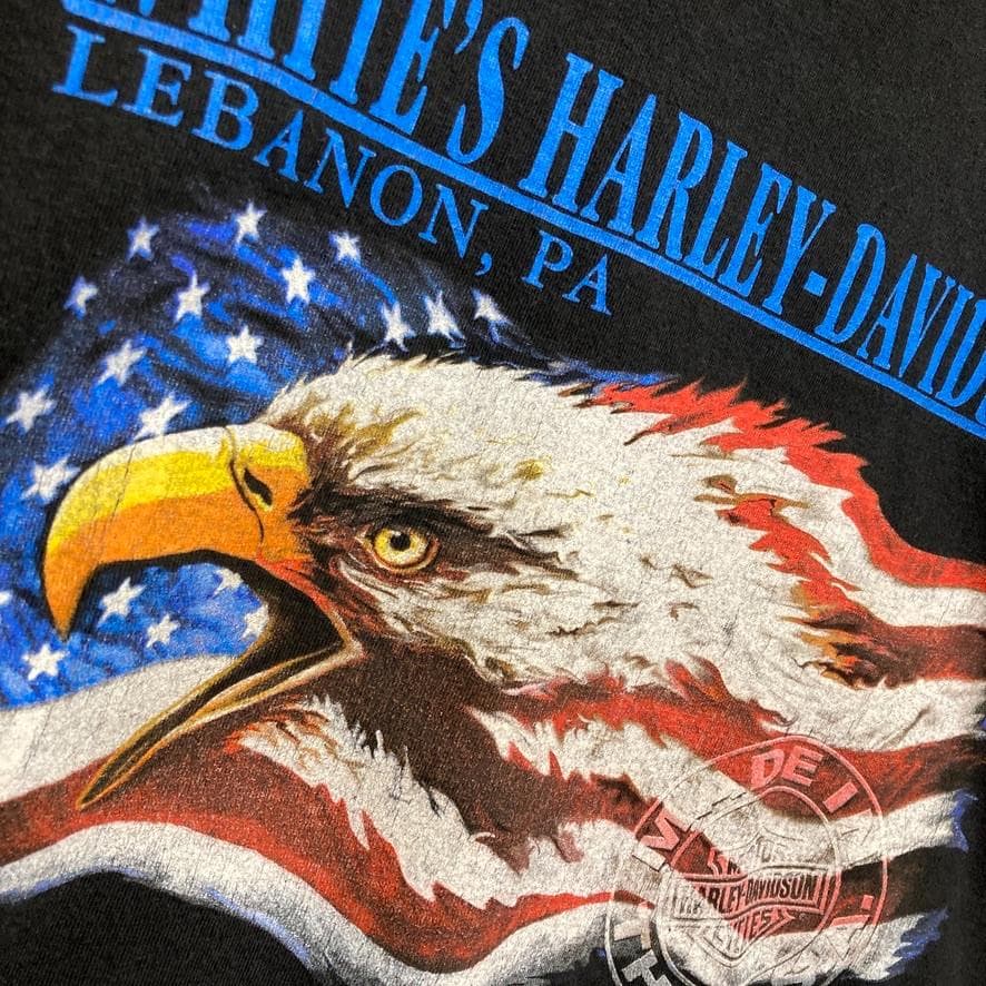CBBB ハーレー Tシャツ USA製 90s ダビッドソン ライトニング