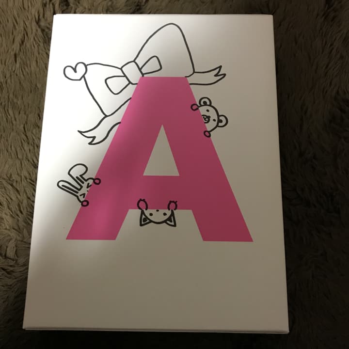 【美品】AKB48/満席祭り希望 賛否両論 チームAデザインボックス〈4枚組〉