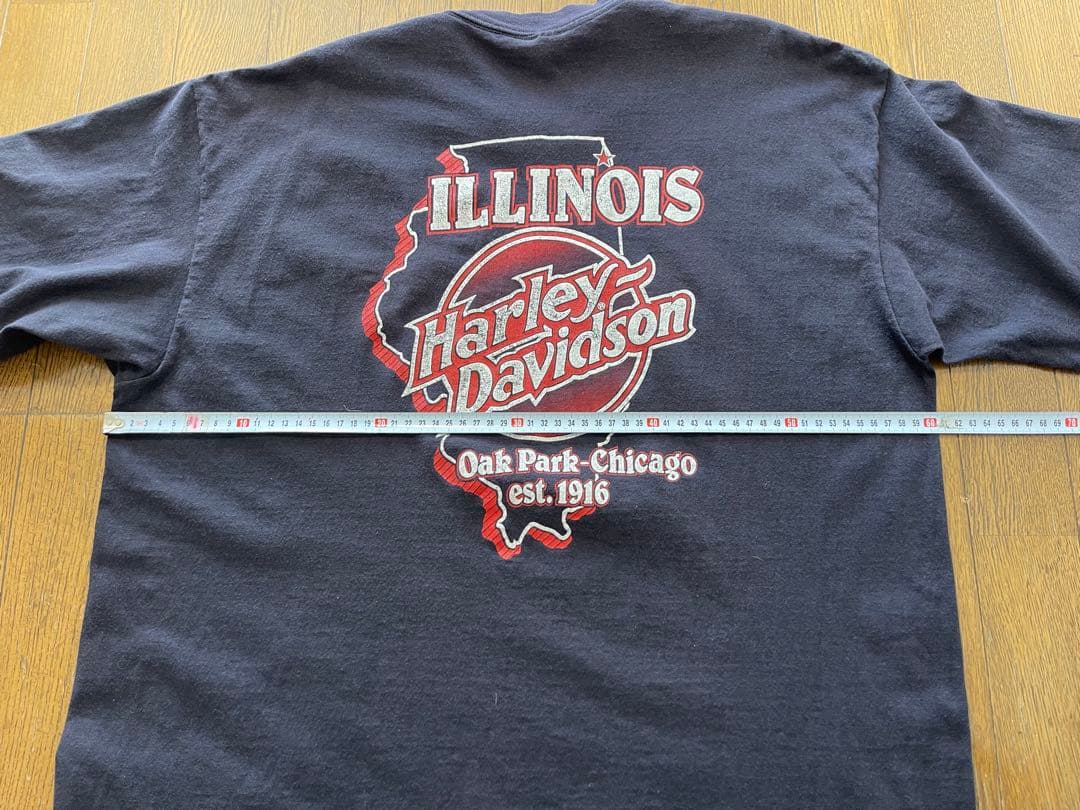 Harley Davidson Hawg Wild 80s Tシャツ