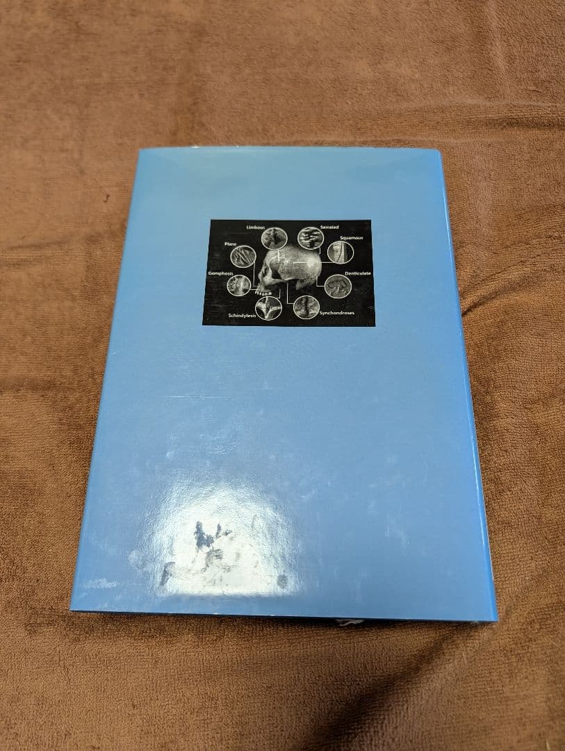 【極美品/絶版】頭蓋縫合 分析・形態学・マニピュレーション マーク・G・ピック