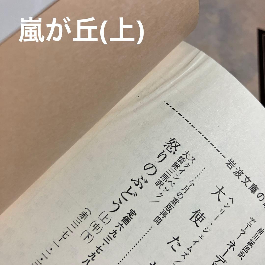 岩波文庫　赤帯　青帯　白帯　 23冊まとめ売り