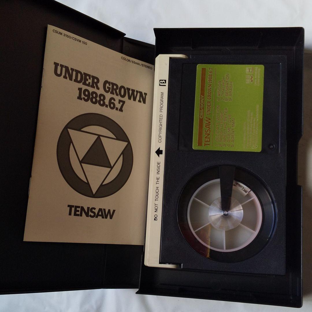 TENSAW  テンソー　LP&CD＆ビデオB版