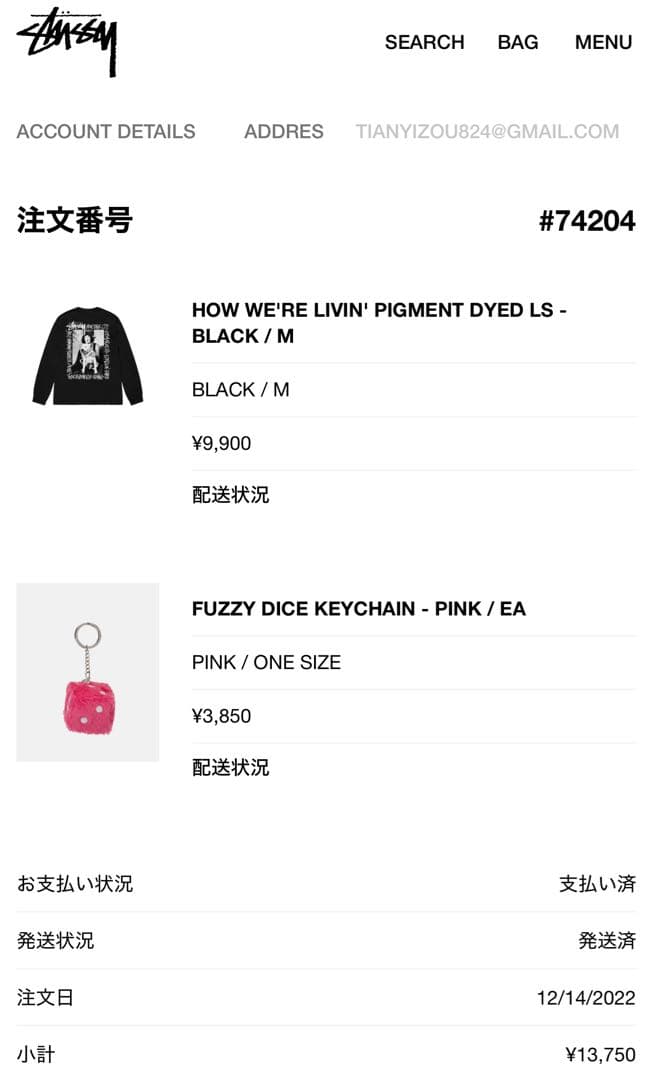 【美品】激レア STUSSY ステューシー ショーンフォント プリント ロンT