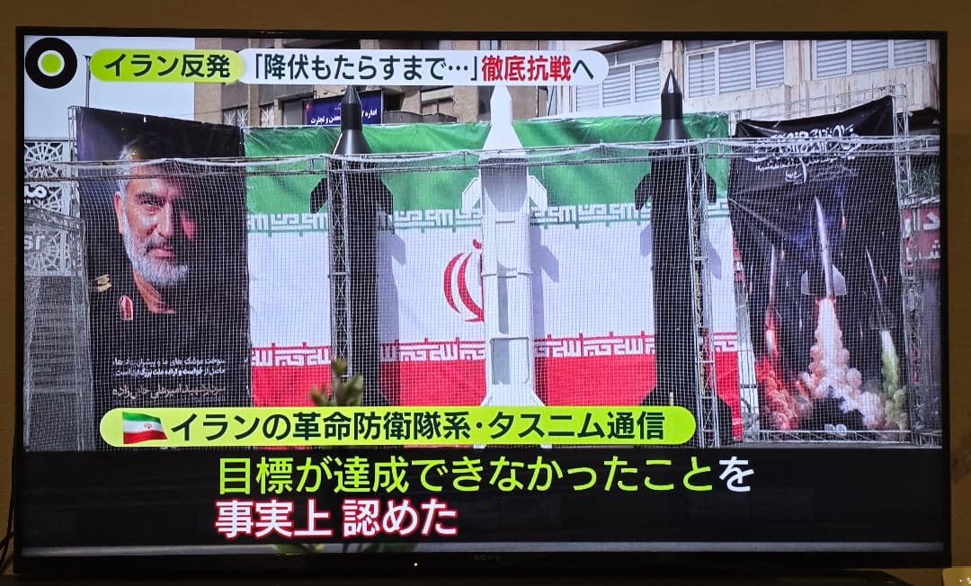 VAIO TVside PC VGX-TP1QS オーナーメイドモデル