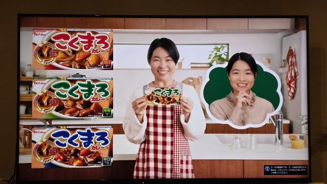 VAIO TVside PC VGX-TP1QS オーナーメイドモデル