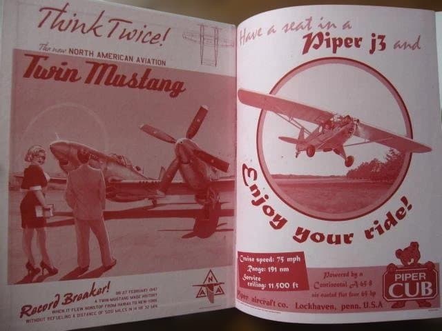 アート・デザイン・音楽 Pin-up Wings / Romain Hugault