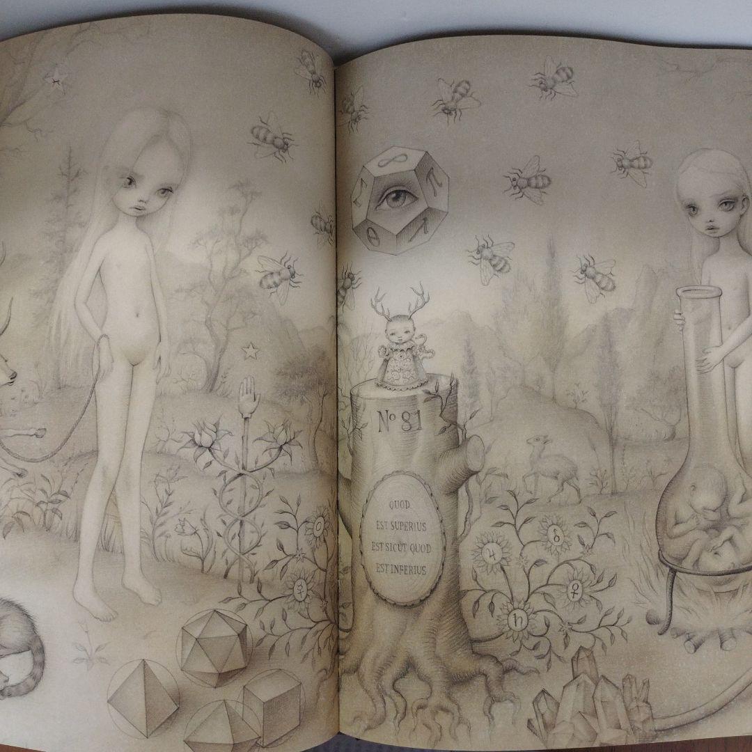 Y0973 THE TREE SHOW MARK RYDEN　洋書