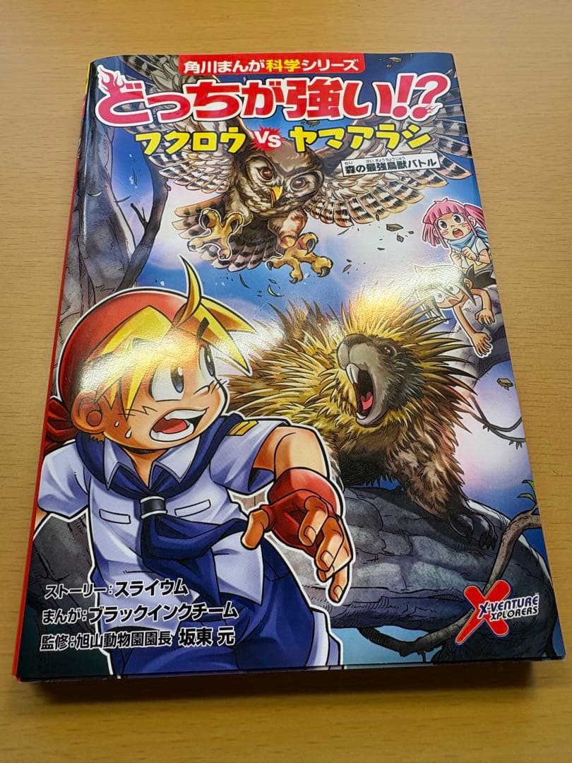 どっちが強い？！　漫画13冊セット　おまけ冊子2冊
