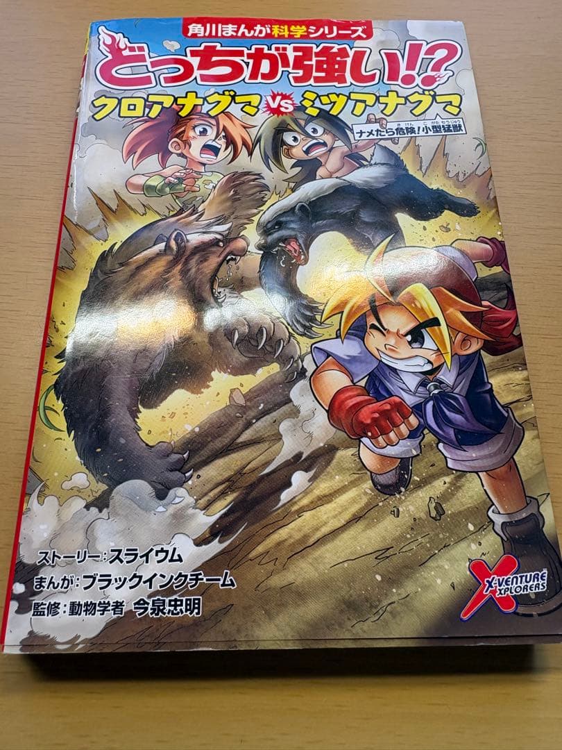 どっちが強い？！　漫画13冊セット　おまけ冊子2冊