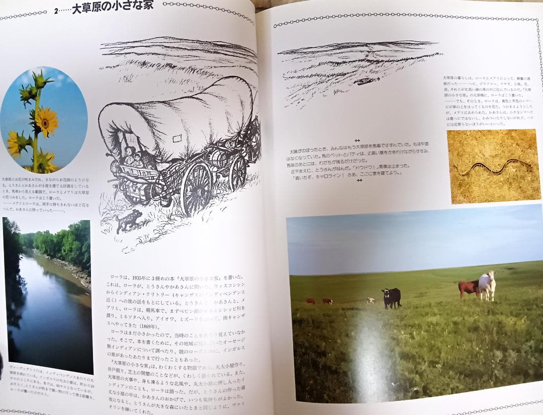 大草原の小さな家 DVD 全72巻＋書籍＋コレクション冊子