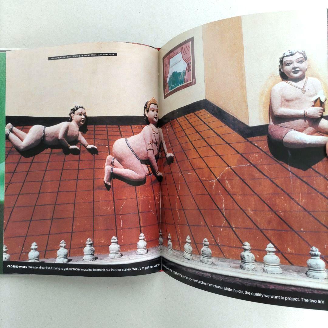 STRANGE RITUAL:David Byrne デヴィッド・バーン 写真集