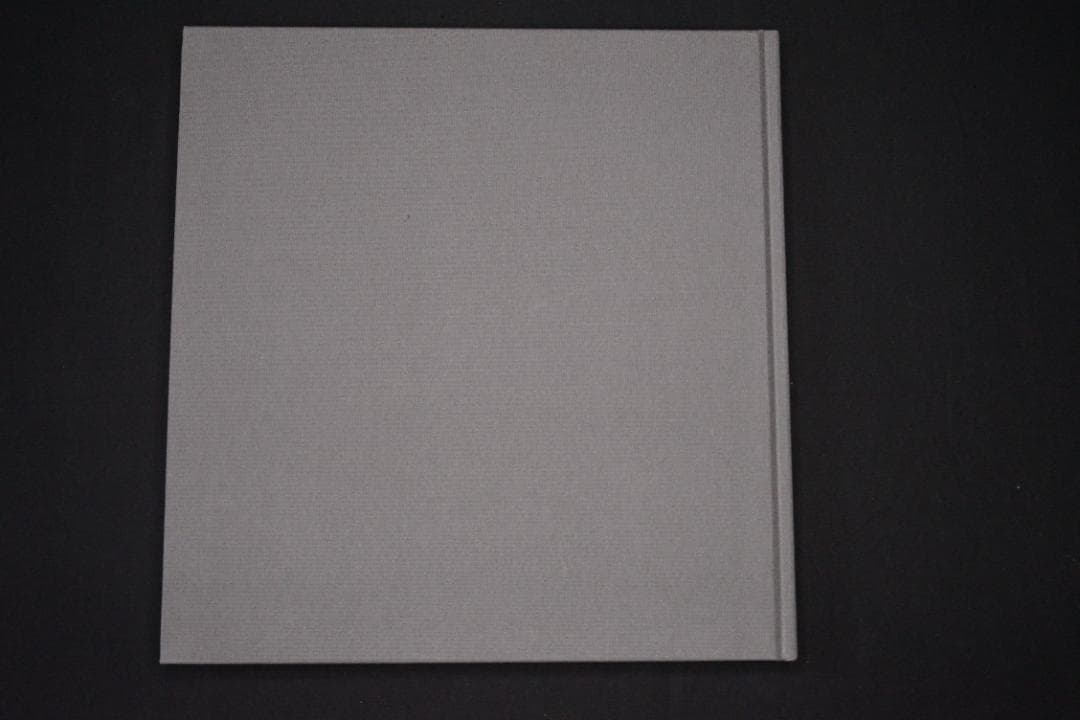 【Lee Friedlander at Work】リー・フリードランダー
